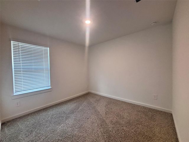 1119 Fringed Bluestar Drive, Rosharon, TX 77583