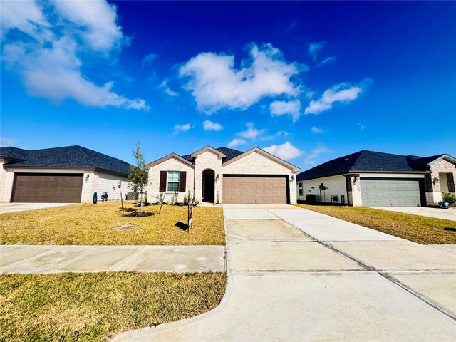 1119 Fringed Bluestar Drive, Rosharon, TX 77583