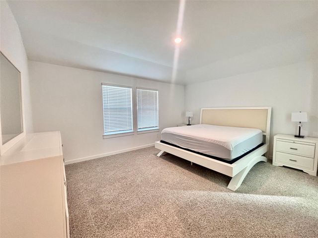 1119 Fringed Bluestar Drive, Rosharon, TX 77583