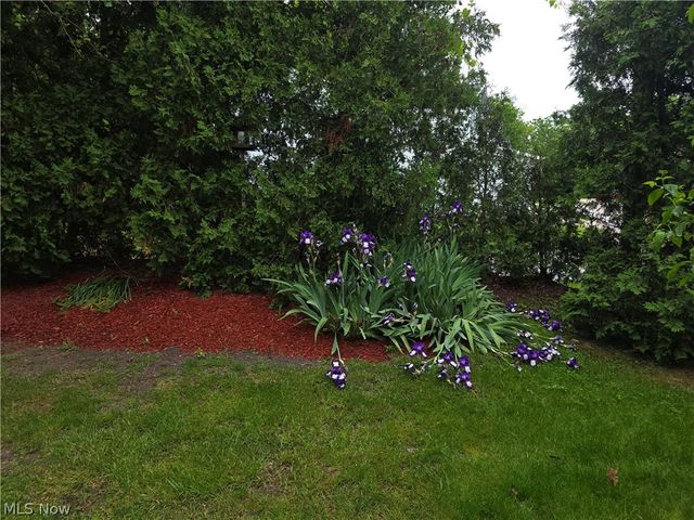 6783 Kirkwood Drive, Mentor, OH 44060