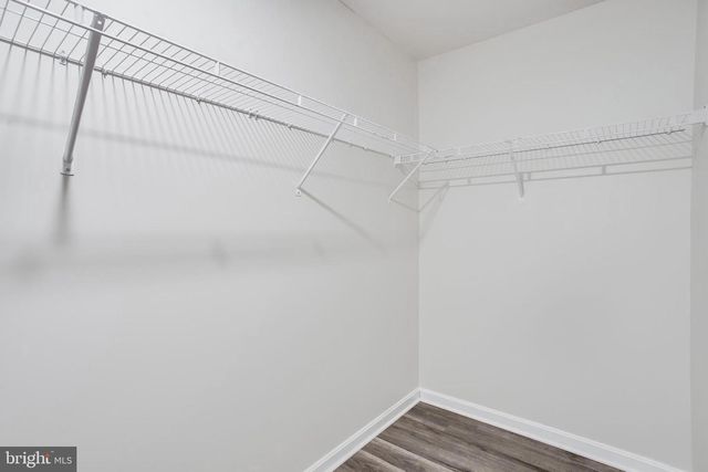 291 FOREST EDGE AVE, La Plata, MD 20646