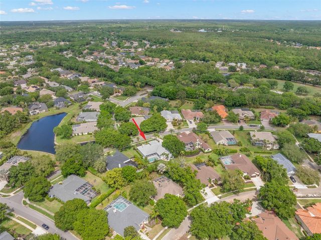 3692 JOHNATHON AVENUE, Palm Harbor, FL 34685