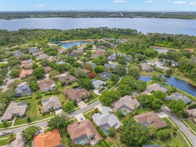 3692 JOHNATHON AVENUE, Palm Harbor, FL 34685