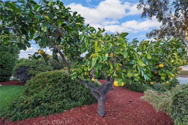 1618 Alapat Drive, Escondido, CA 92027