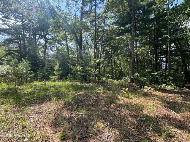 5 Majestic Mountain Trail, Murphy, NC 28906
