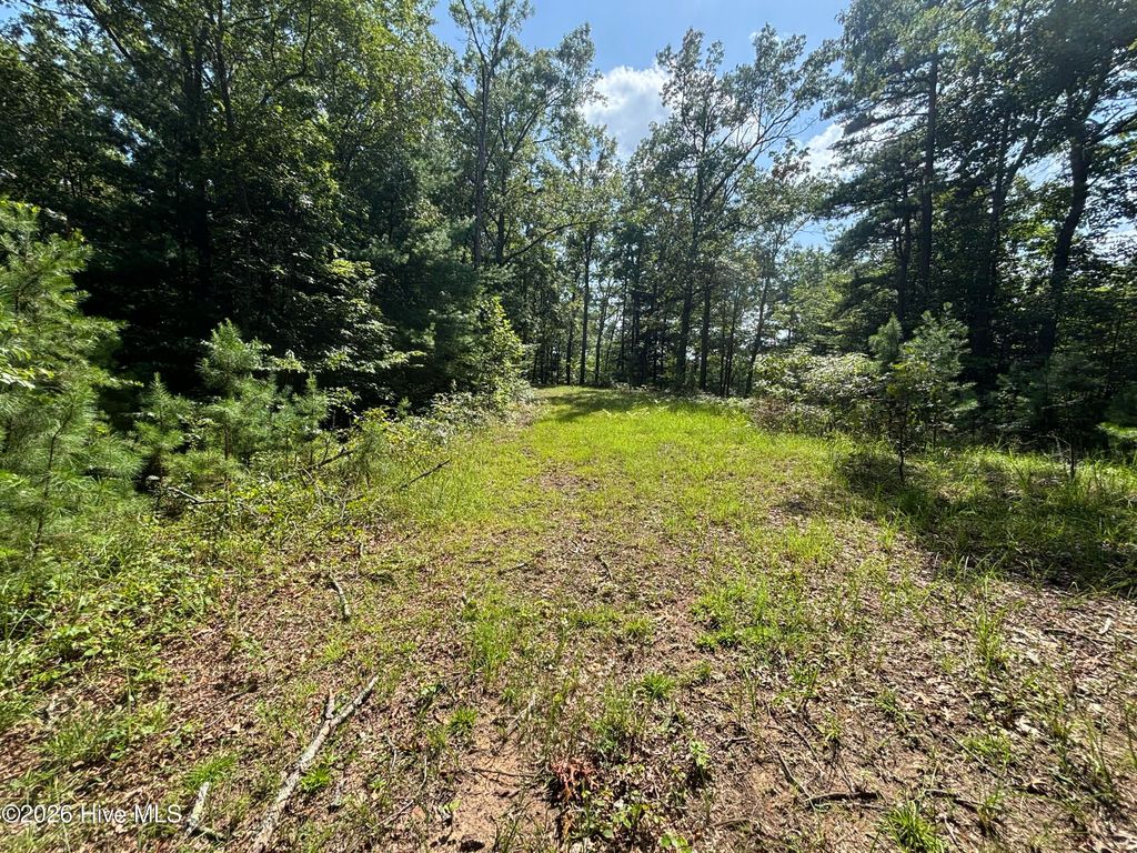 5 Majestic Mountain Trail, Murphy, NC 28906