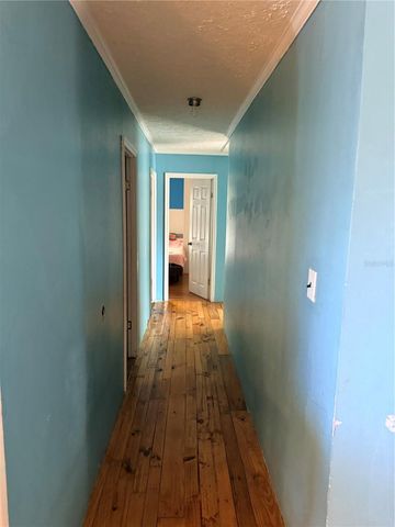 9134 SAMARITAN AVENUE, Polk City, FL 33868