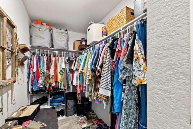 17 Curly Leaf, Conway, AR 72032