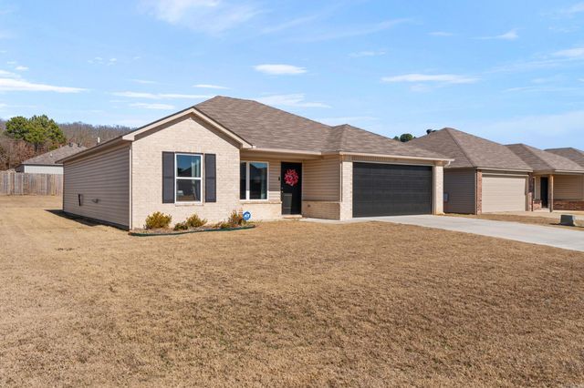 17 Curly Leaf, Conway, AR 72032