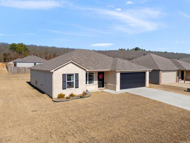 17 Curly Leaf, Conway, AR 72032
