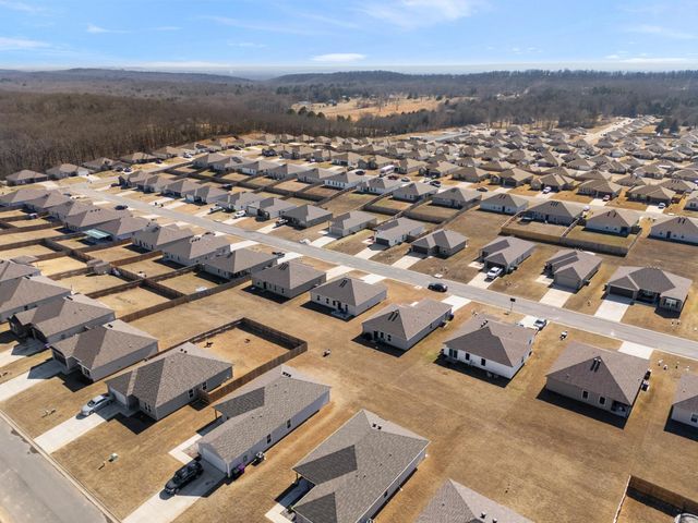 17 Curly Leaf, Conway, AR 72032