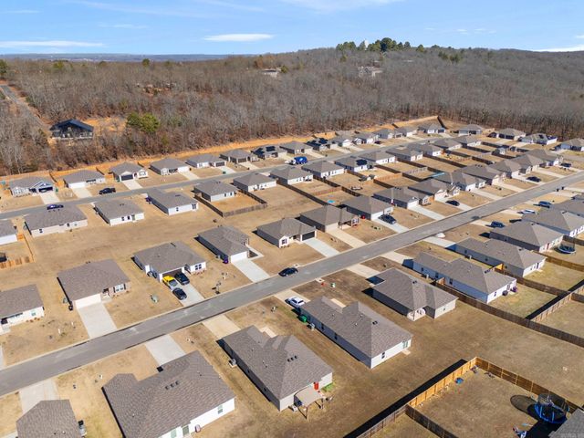 17 Curly Leaf, Conway, AR 72032