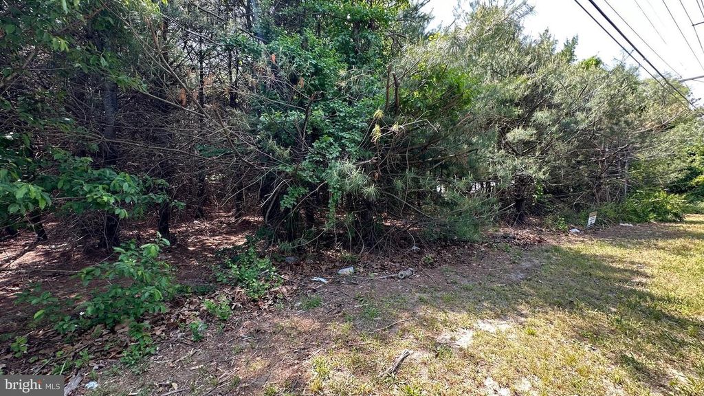 0 PINEY HOLLOW RD, WILLIAMSTOWN, NJ 08094 — photo 2