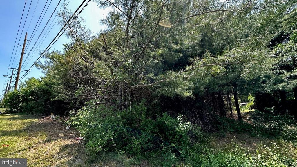 0 PINEY HOLLOW RD, WILLIAMSTOWN, NJ 08094 — photo 3