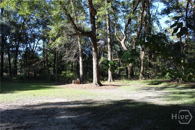 2525 Cartertown Road, Richmond Hill, GA 31324