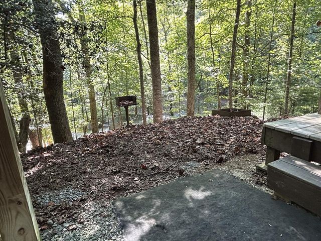985 Ogden Drive, Ellijay, GA 30540