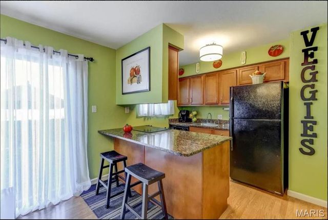 1210 Clarkson Court 1210, Ellisville, MO 63011