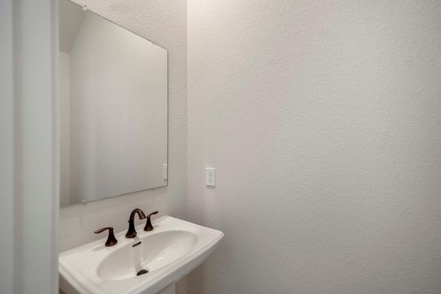 17206 Blooming Suzans Lane, Conroe, TX 77302