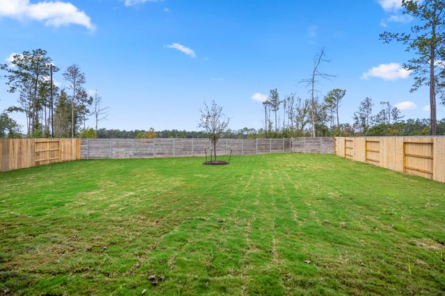 17206 Blooming Suzans Lane, Conroe, TX 77302