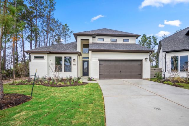 17206 Blooming Suzans Lane, Conroe, TX 77302