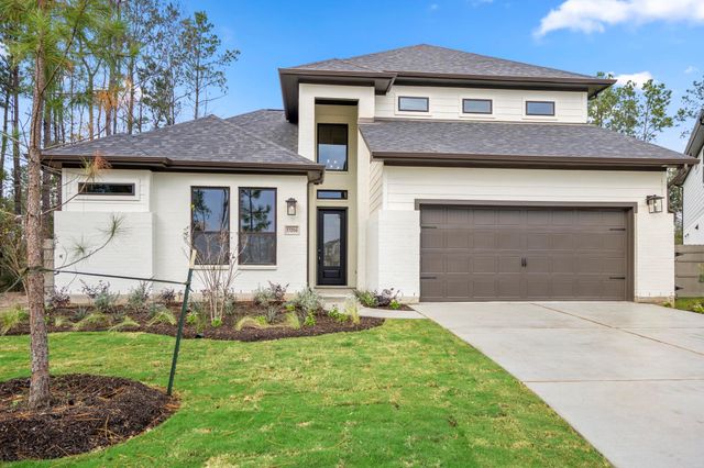 17206 Blooming Suzans Lane, Conroe, TX 77302