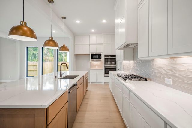 17206 Blooming Suzans Lane, Conroe, TX 77302