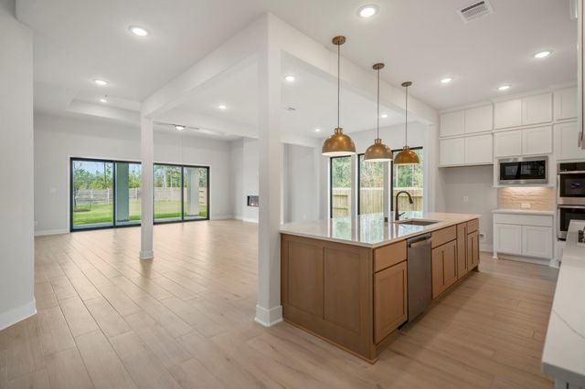 17206 Blooming Suzans Lane, Conroe, TX 77302