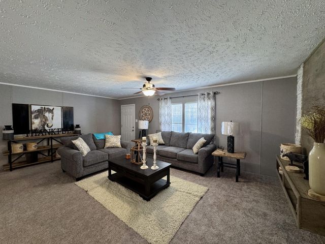 6435 Back Valley Road, Evensville, TN 37332