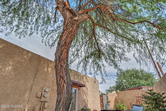 3317 E Water Street, Tucson, AZ 85716