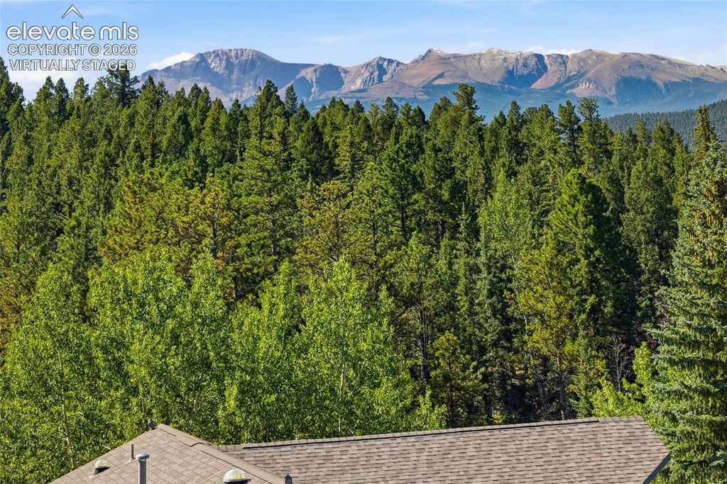 449 Oxford Lane, Woodland Park, CO 80863 — photo 4