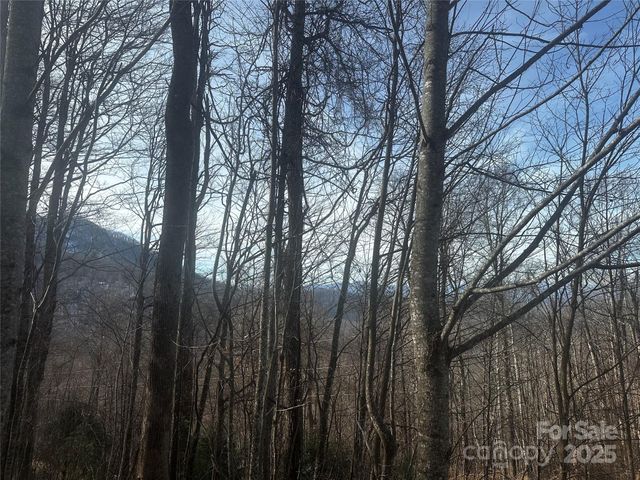 0 Wild Turkey Road 21, Bakersville, NC 28705