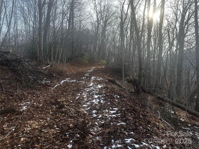 0 Wild Turkey Road 21, Bakersville, NC 28705