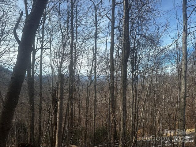 0 Wild Turkey Road 21, Bakersville, NC 28705