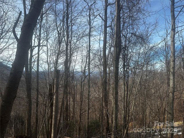 0 Wild Turkey Road 21, Bakersville, NC 28705