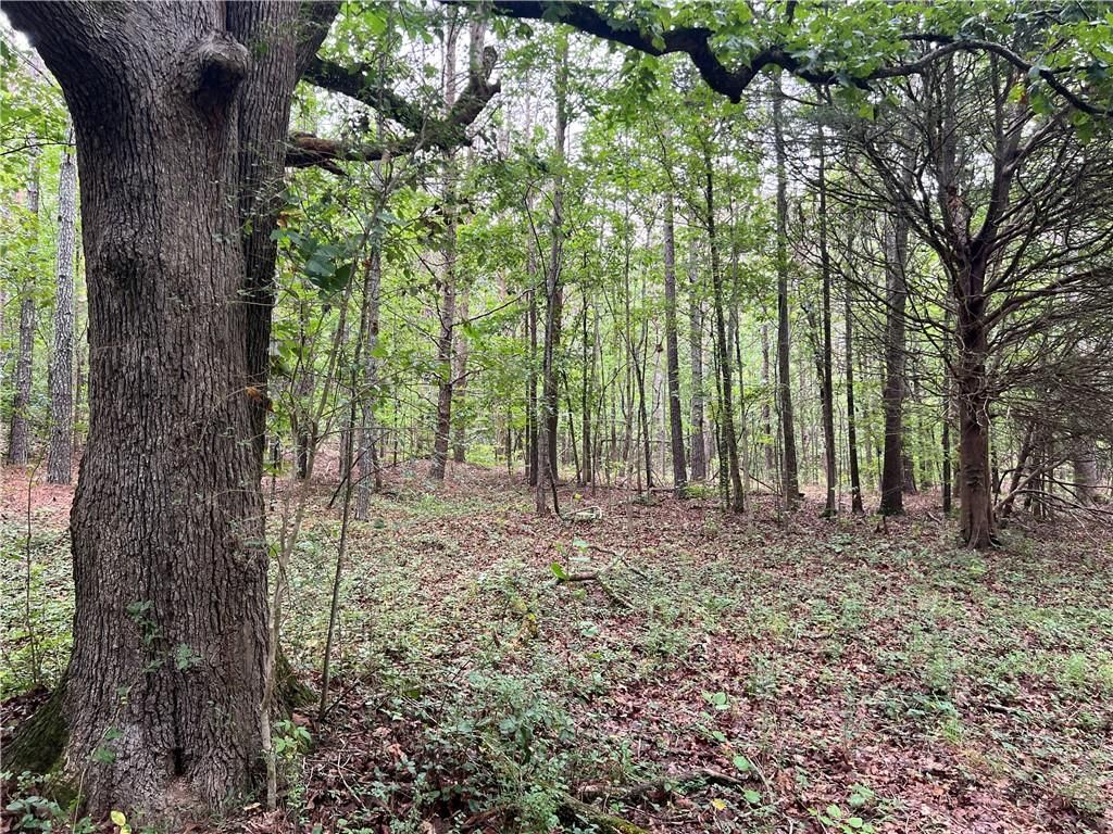 300 Timberwood NW Road, White, GA 30184