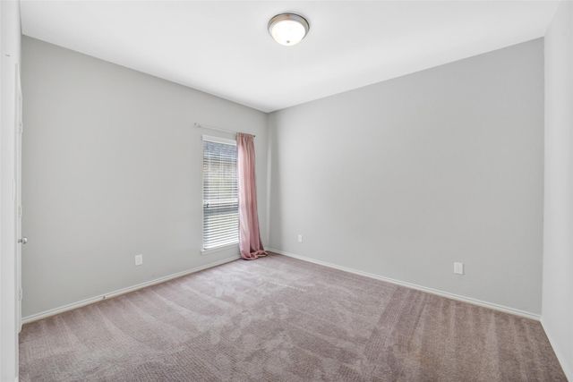 24247 Via Vitani Drive, Richmond, TX 77406