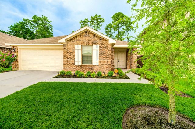21577 Starry Night Drive, New Caney, TX 77357
