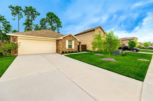 21577 Starry Night Drive, New Caney, TX 77357