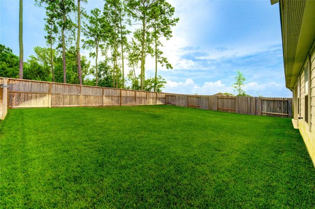 21577 Starry Night Drive, New Caney, TX 77357