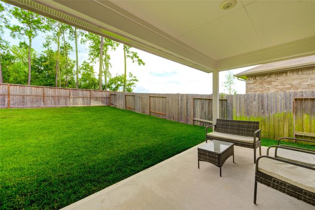 21577 Starry Night Drive, New Caney, TX 77357