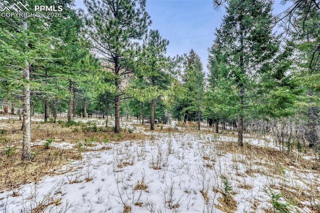 Rock Ridge Road, Palmer Lake, CO 80133