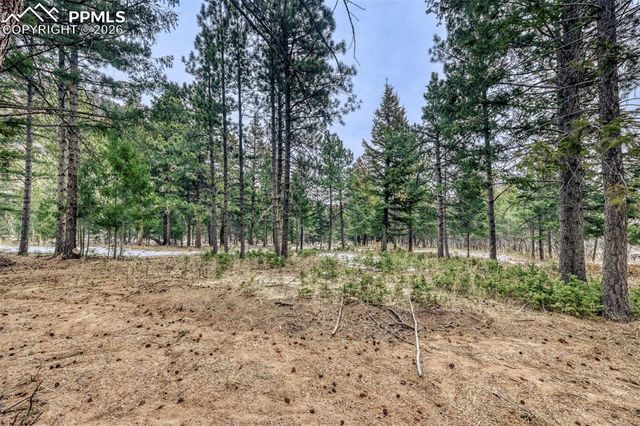 Rock Ridge Road, Palmer Lake, CO 80133