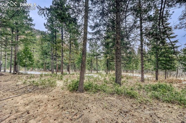 Rock Ridge Road, Palmer Lake, CO 80133