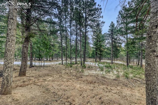 Rock Ridge Road, Palmer Lake, CO 80133