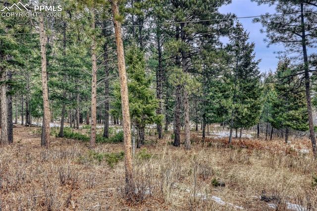 Rock Ridge Road, Palmer Lake, CO 80133