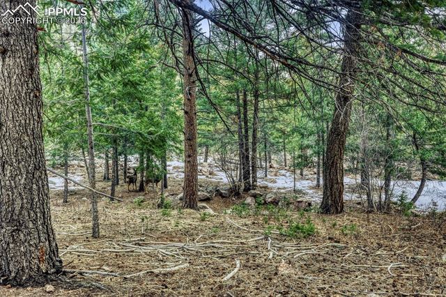 Rock Ridge Road, Palmer Lake, CO 80133