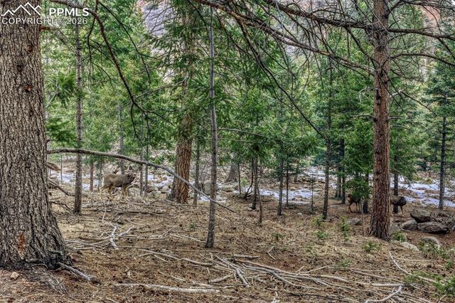 Rock Ridge Road, Palmer Lake, CO 80133