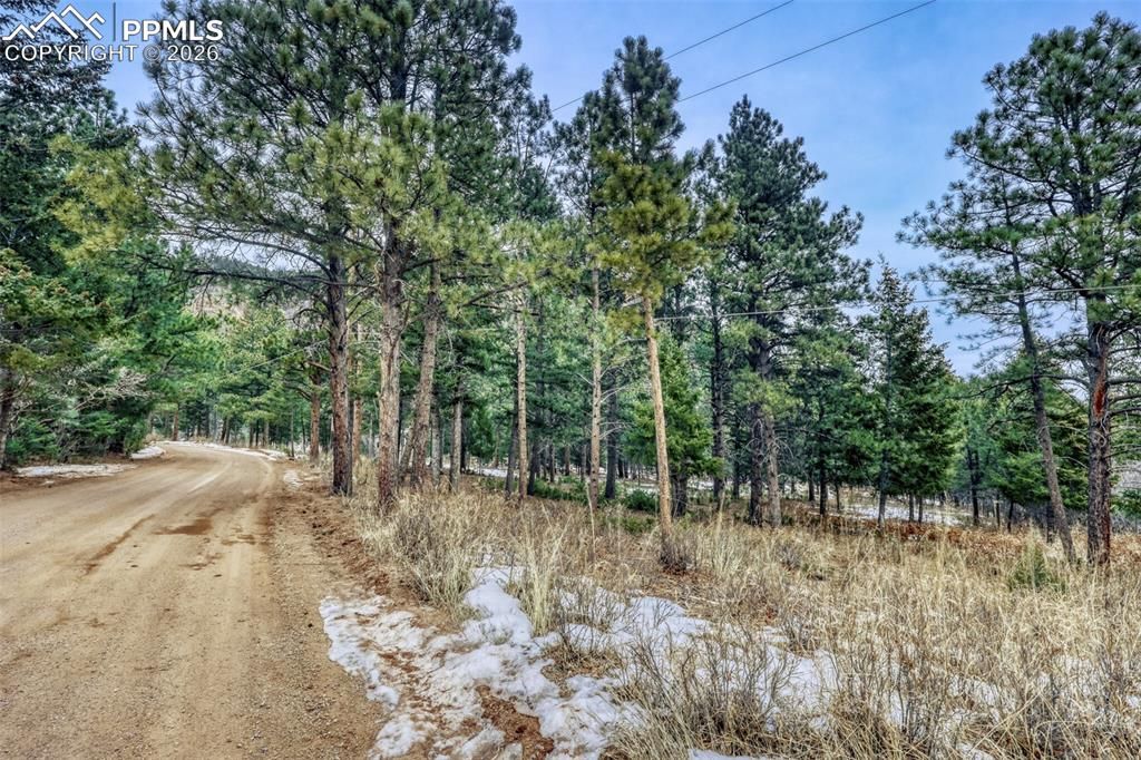 Rock Ridge Road, Palmer Lake, CO 80133