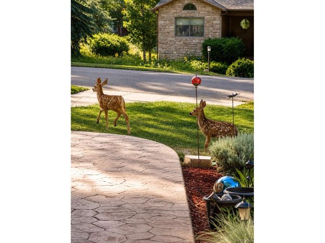 7950 Hillview St, Parker, CO 80134