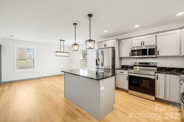 1021 Alexander Road, Leicester, NC 28748